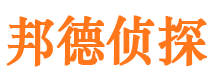 静安市私家侦探